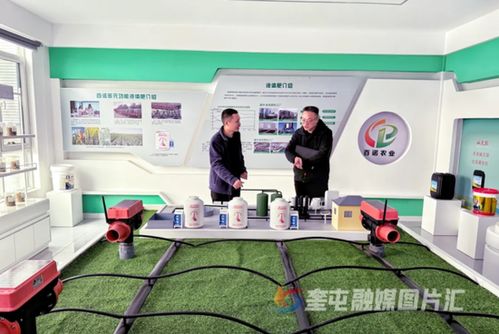 奎屯-獨山子經(jīng)濟技術開發(fā)區(qū) 政企銀聯(lián)動強鏈補短，技術開發(fā)提速園區(qū)高質量發(fā)展